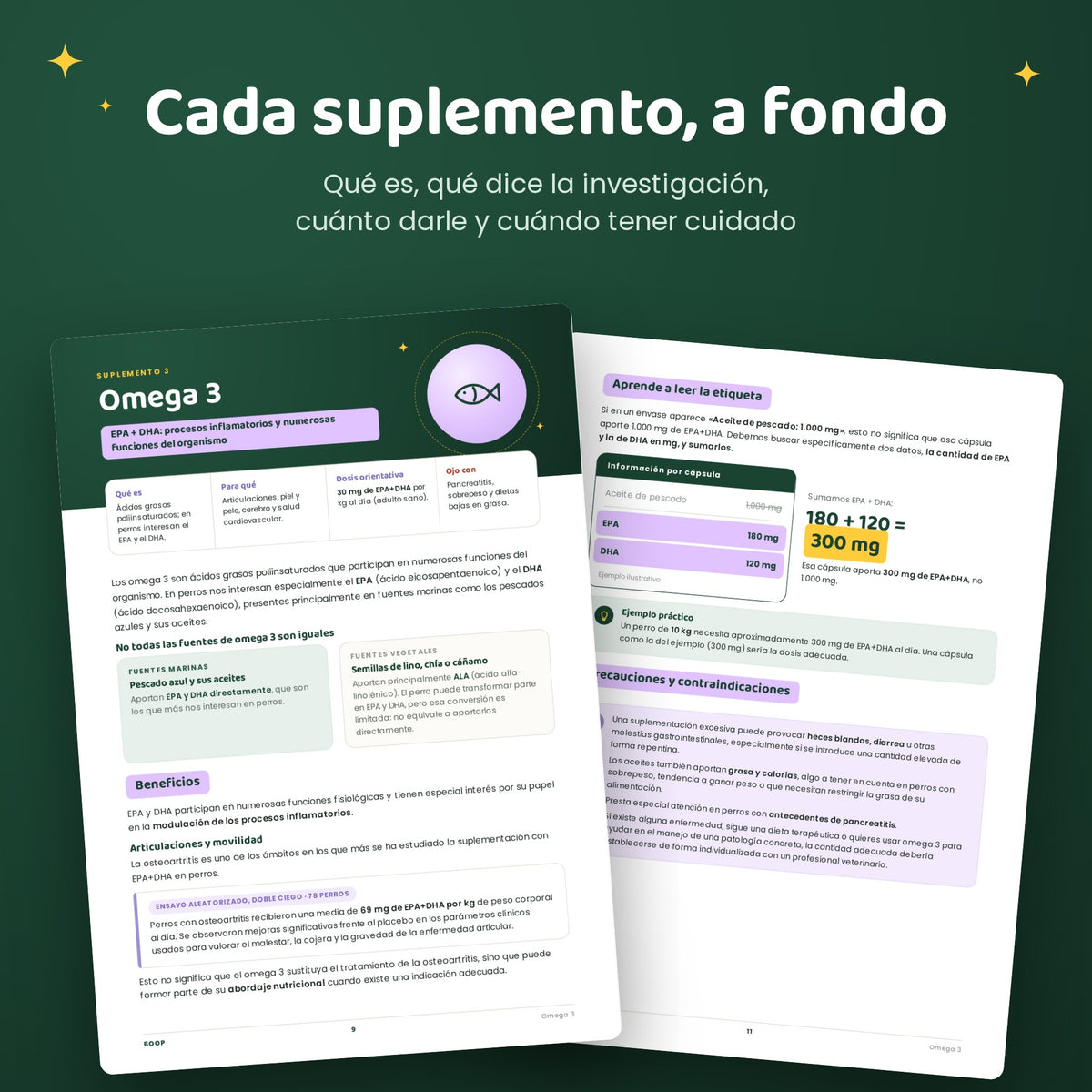 Ebook de suplementación para perros: qué darle, cuánto y cuándo no