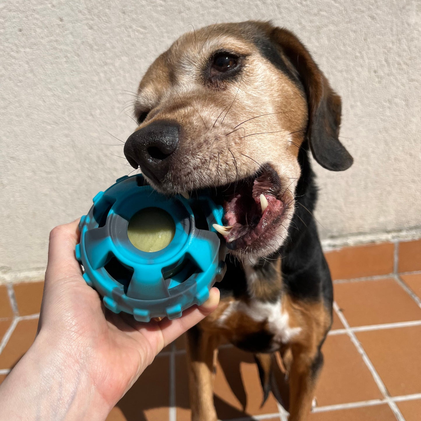 Boopy Ball