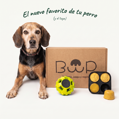Kit de Iniciación - Momento de Calma