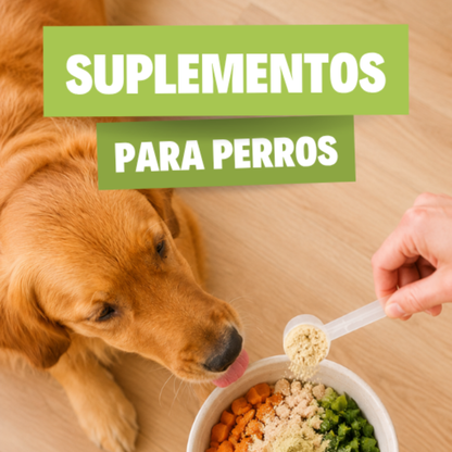 Ebook de suplementación para perros: qué darle, cuánto y cuándo no