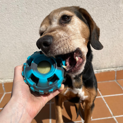 Boopy Ball